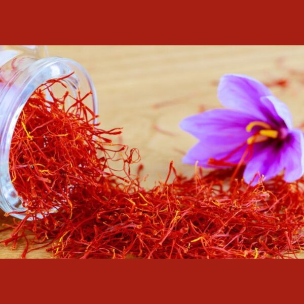 Poshali - Saffron Yasnoor